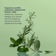 milk-shake-energizing-blend-fragrance-profile